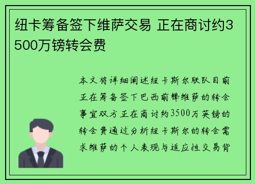 纽卡筹备签下维萨交易 正在商讨约3500万镑转会费